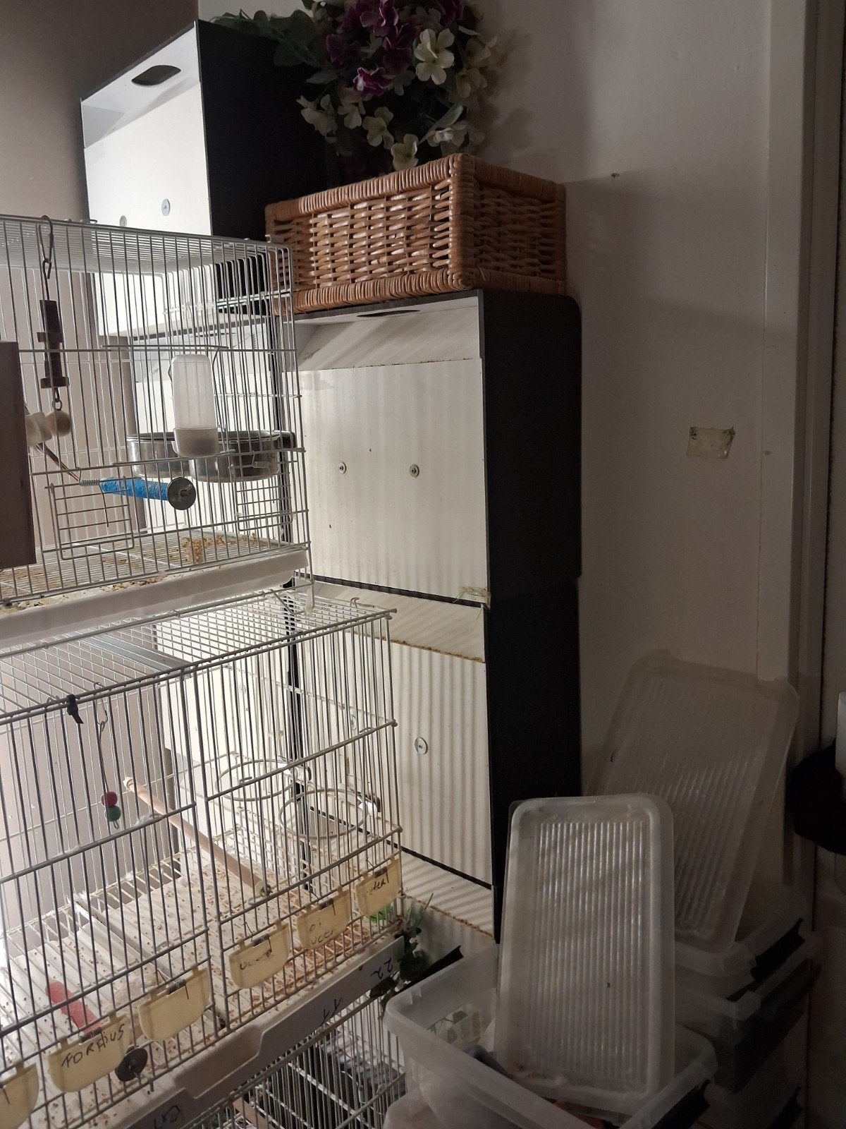 TT kooitjes kunstof, Ophalen, Nieuw, Kunststof, Vogelkooi