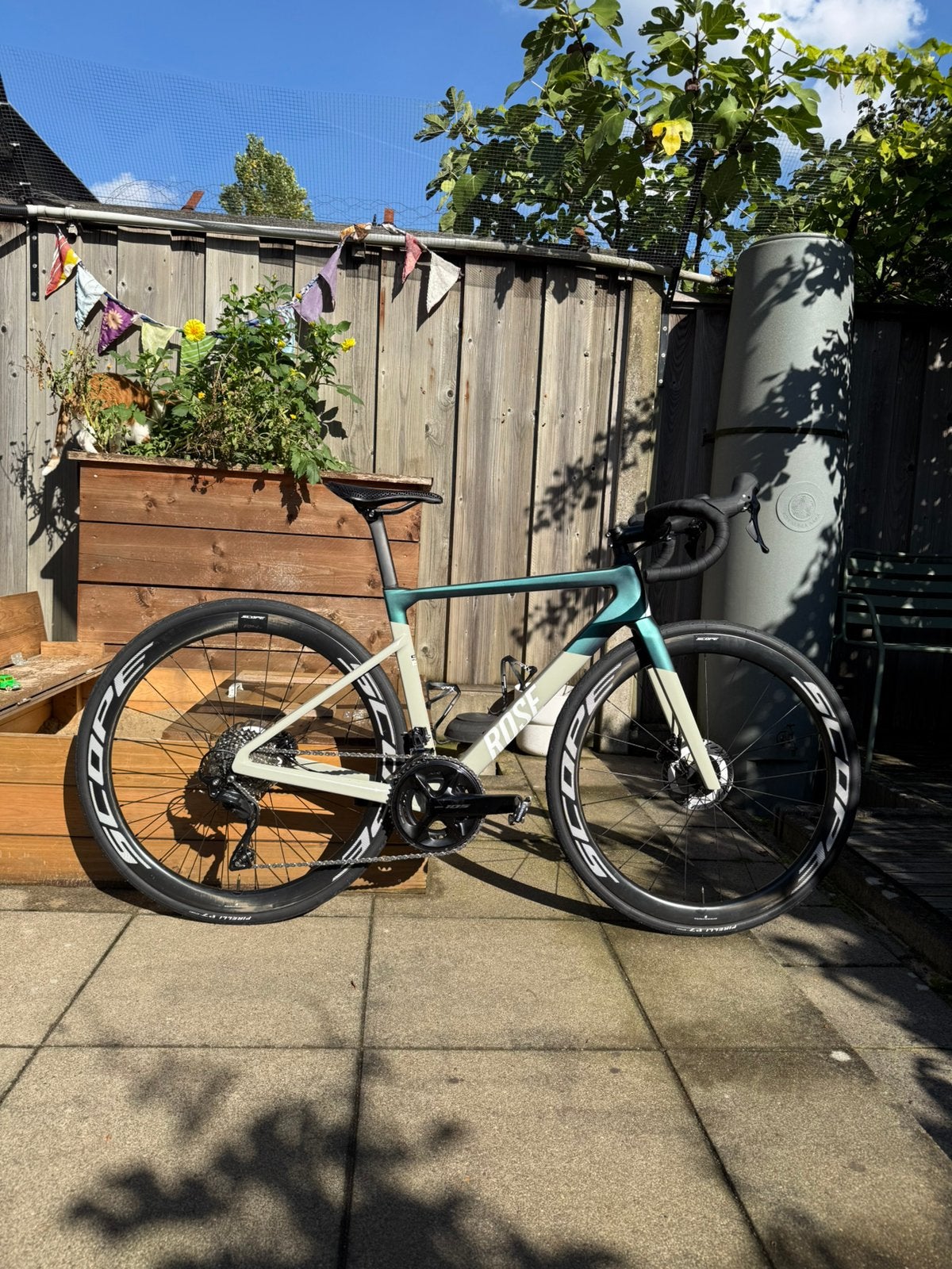 Rose Xlite 06, maat 53 (S), nieuwe shimano 105 groupset, Carbon, Zo goed als nieuw, Meer dan 20 versnellingen, 53 tot 57 cm
