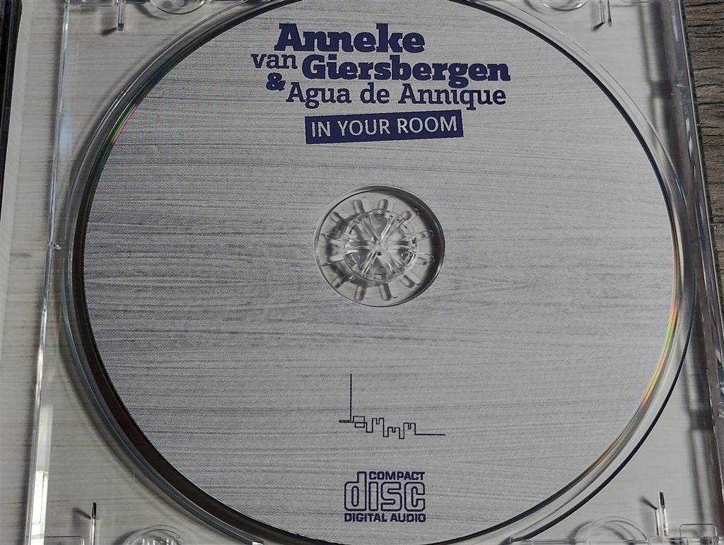 Anneke van Giersbergen & Agua De Annique ‎– In Your Room, Cd's en Dvd's, Ophalen of Verzenden, Zo goed als nieuw, Pop