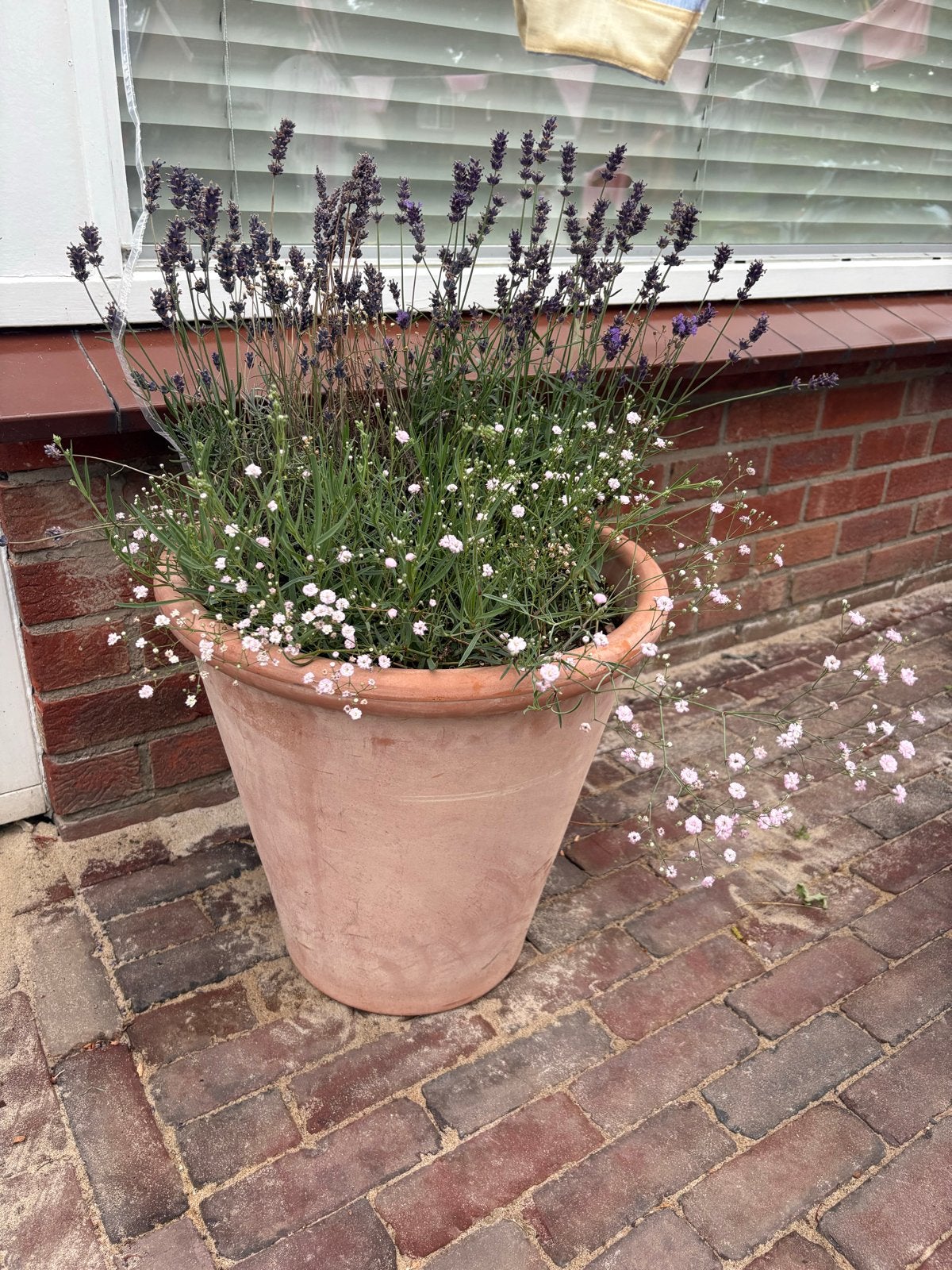 Mooie Italiaanse Terracotta Bloempot - Maat 45, Winterhard, Tuin en Terras, Bloempotten, Ophalen, Gebruikt, 40 cm of meer, Rond