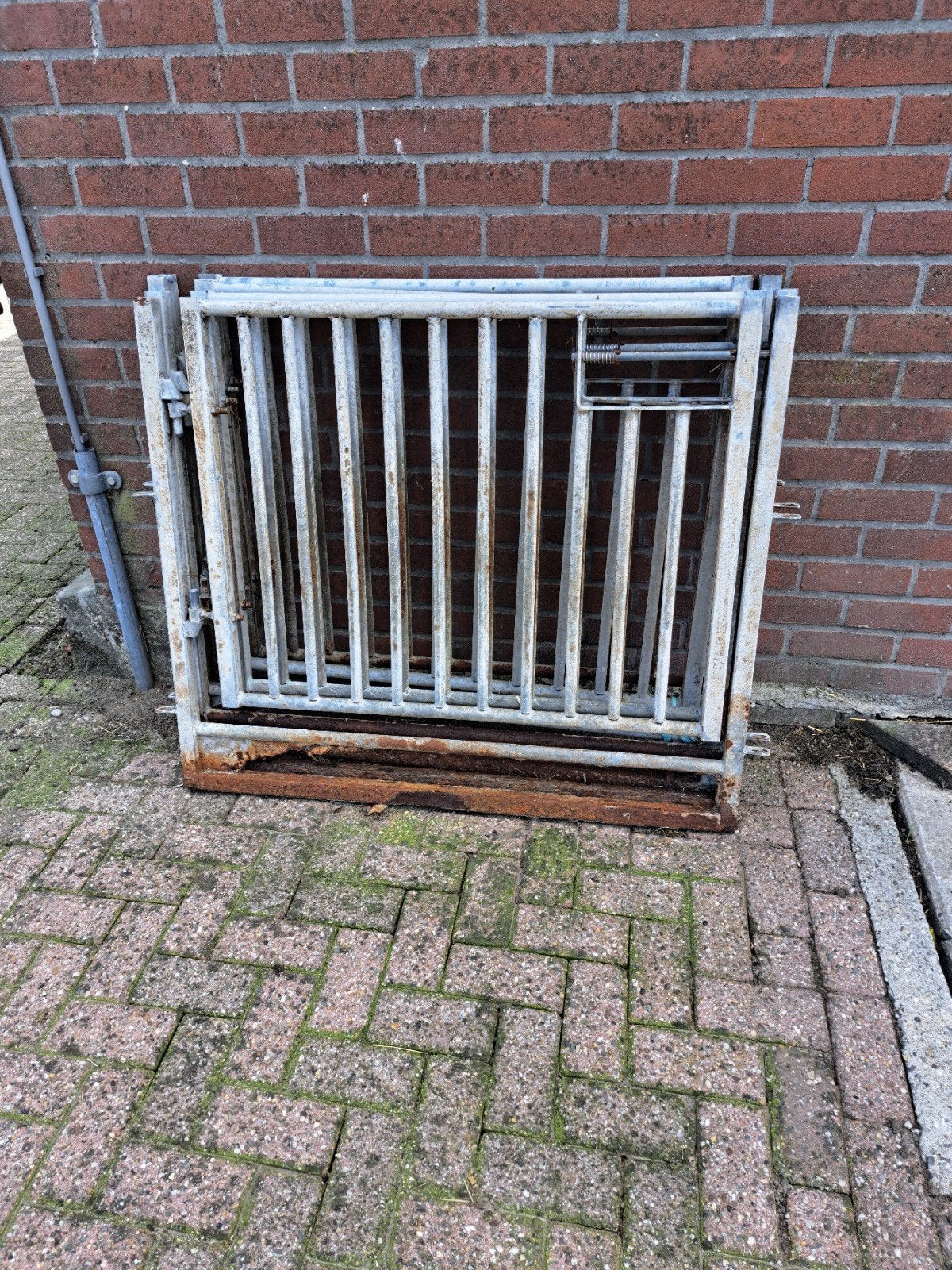 veno hekjes  4 stuks, Meerdere dieren, Schaap