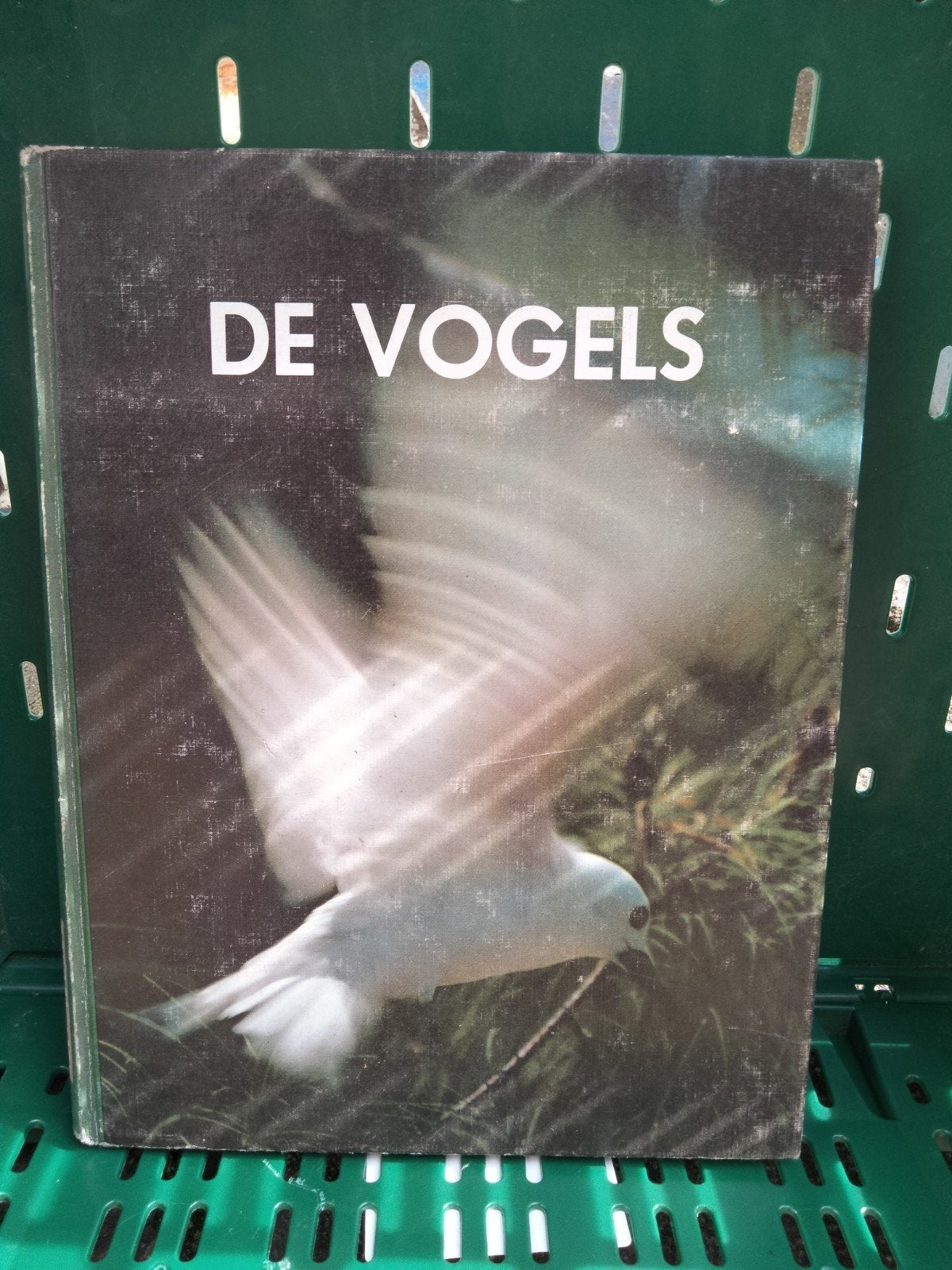 De vogels Parool Live 1964, Boeken, Ophalen of Verzenden, Gelezen, Overige onderwerpen