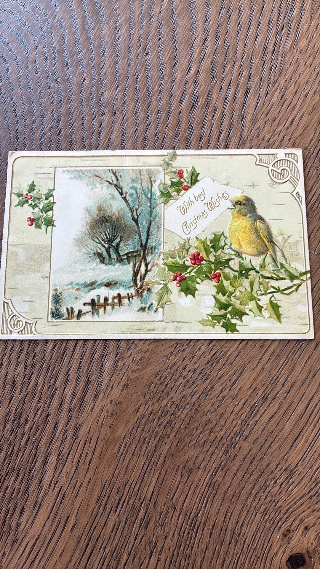 Reliefkaart.Kerst.Sneeuwlandschapje.Vogel, hulst,, Ophalen of Verzenden, Voor 1920, Gelopen, Overige thema's