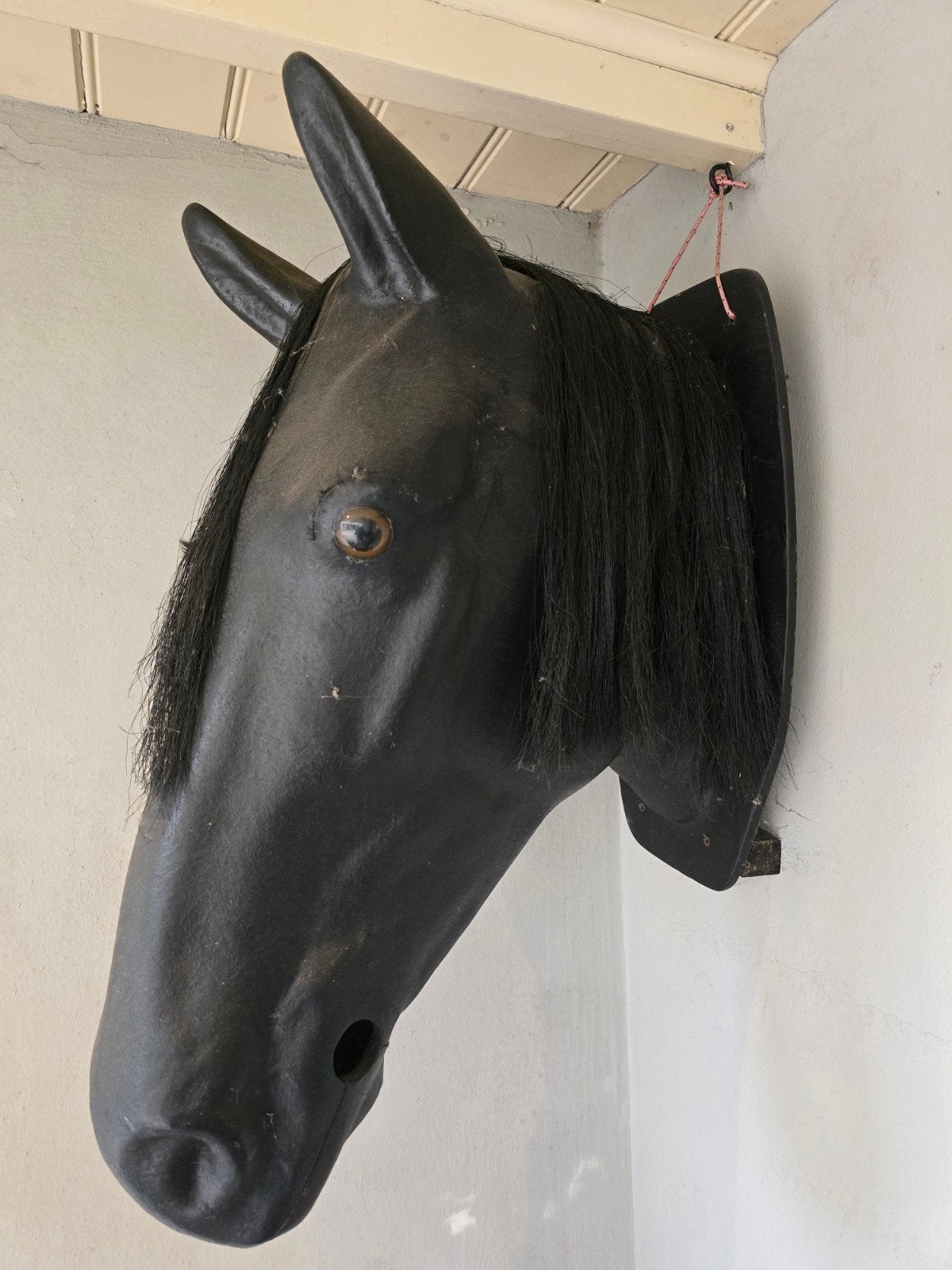 paardenhoofd om te oefenen met bit, Ophalen of Verzenden