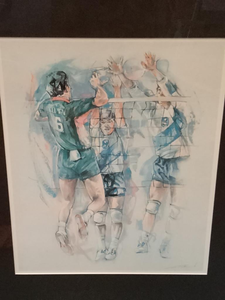 Twan van de Vorstenbosch.  Volleybal., Ophalen of Verzenden, Zo goed als nieuw, A1 t/m A3, Film en Tv
