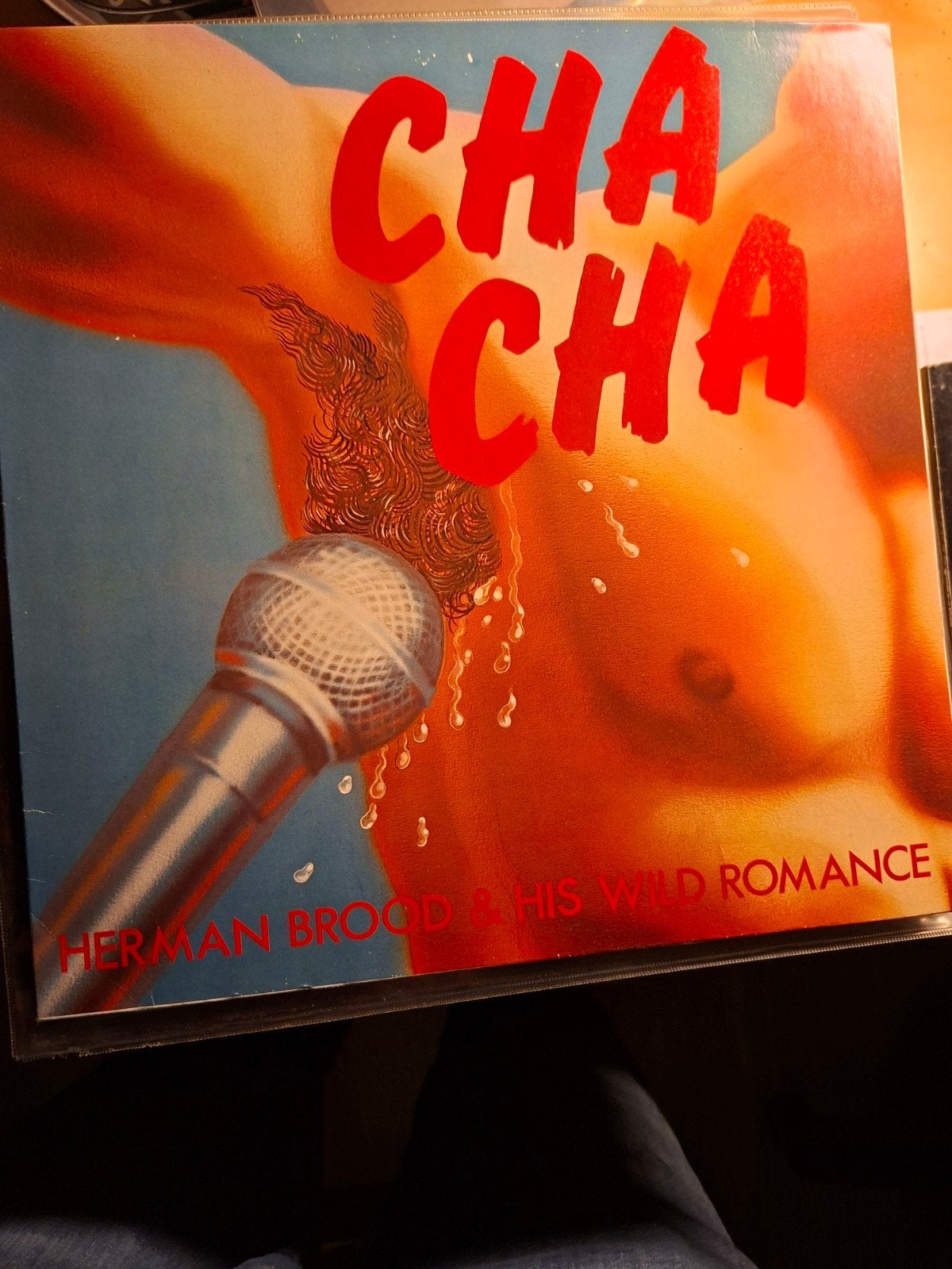 Herman Brood & His Wild Romance - Cha Cha LP, LP, Rock, Gebruikt, Ophalen of Verzenden