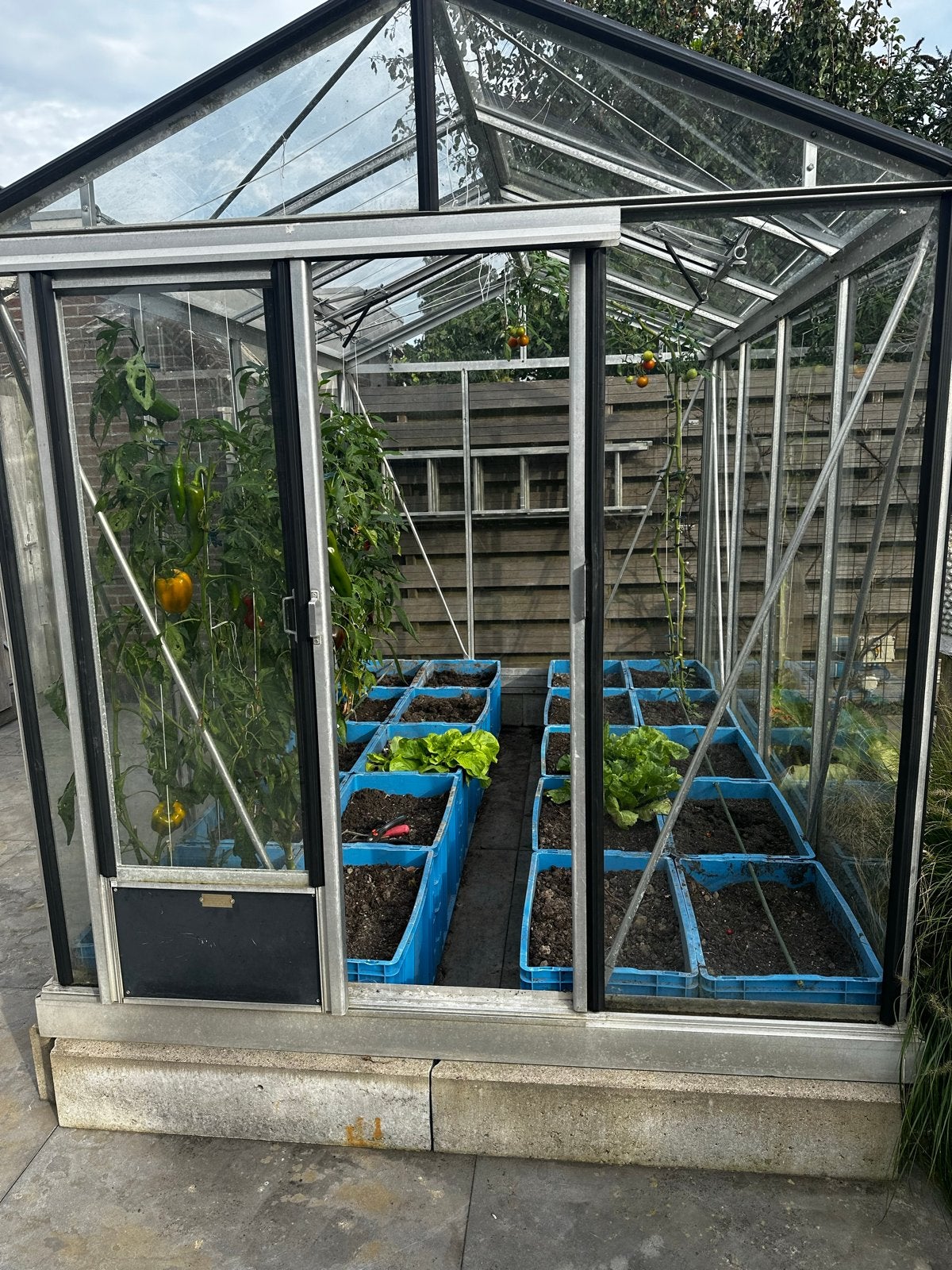 Glazen Kweekkas met Aluminium Frame, Tuin en Terras, Ophalen, Gebruikt, Kweekkas, Glas