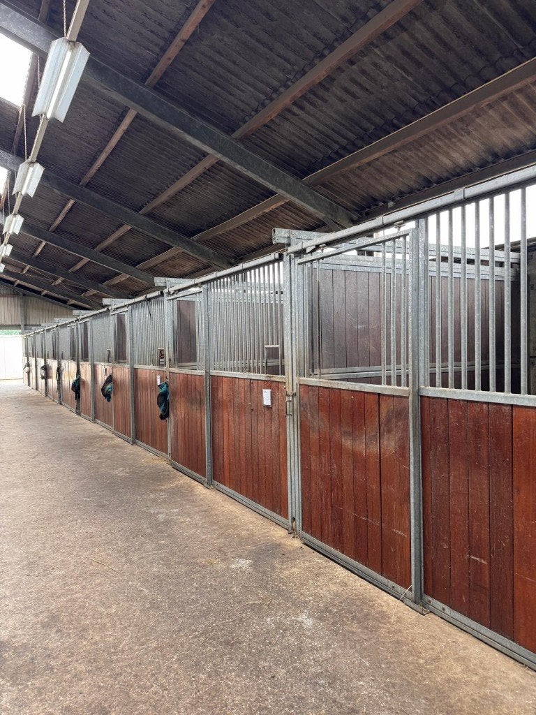 Paardenboxen met uitschuifbare tussenwanden | Gebruikt, Weidegang, 4 paarden of pony's of meer