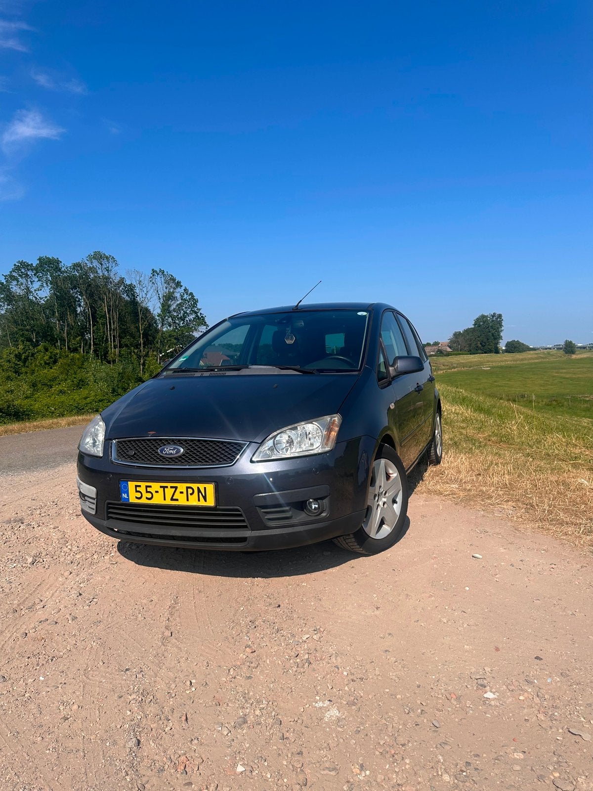 Ford C-Max 1.8 92KW 2007 Grijs, Auto's, Voorwielaandrijving, 125 pk, 4 cilinders, 1200 kg