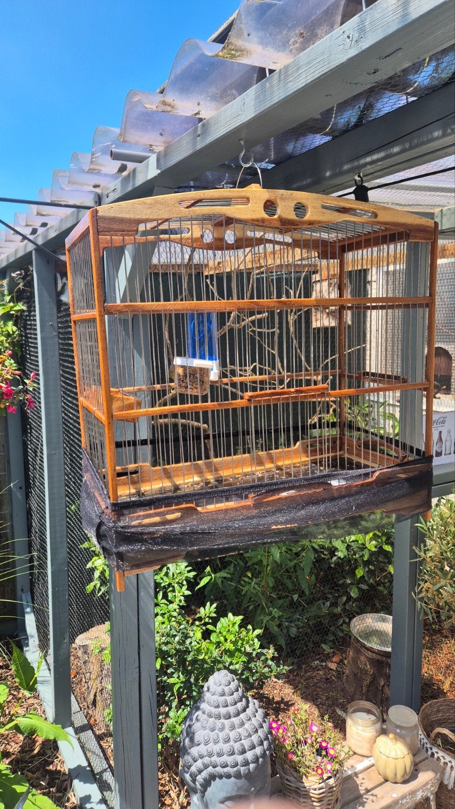 Surinaamse kooi, Ophalen, Nieuw, Hout, Vogelkooi