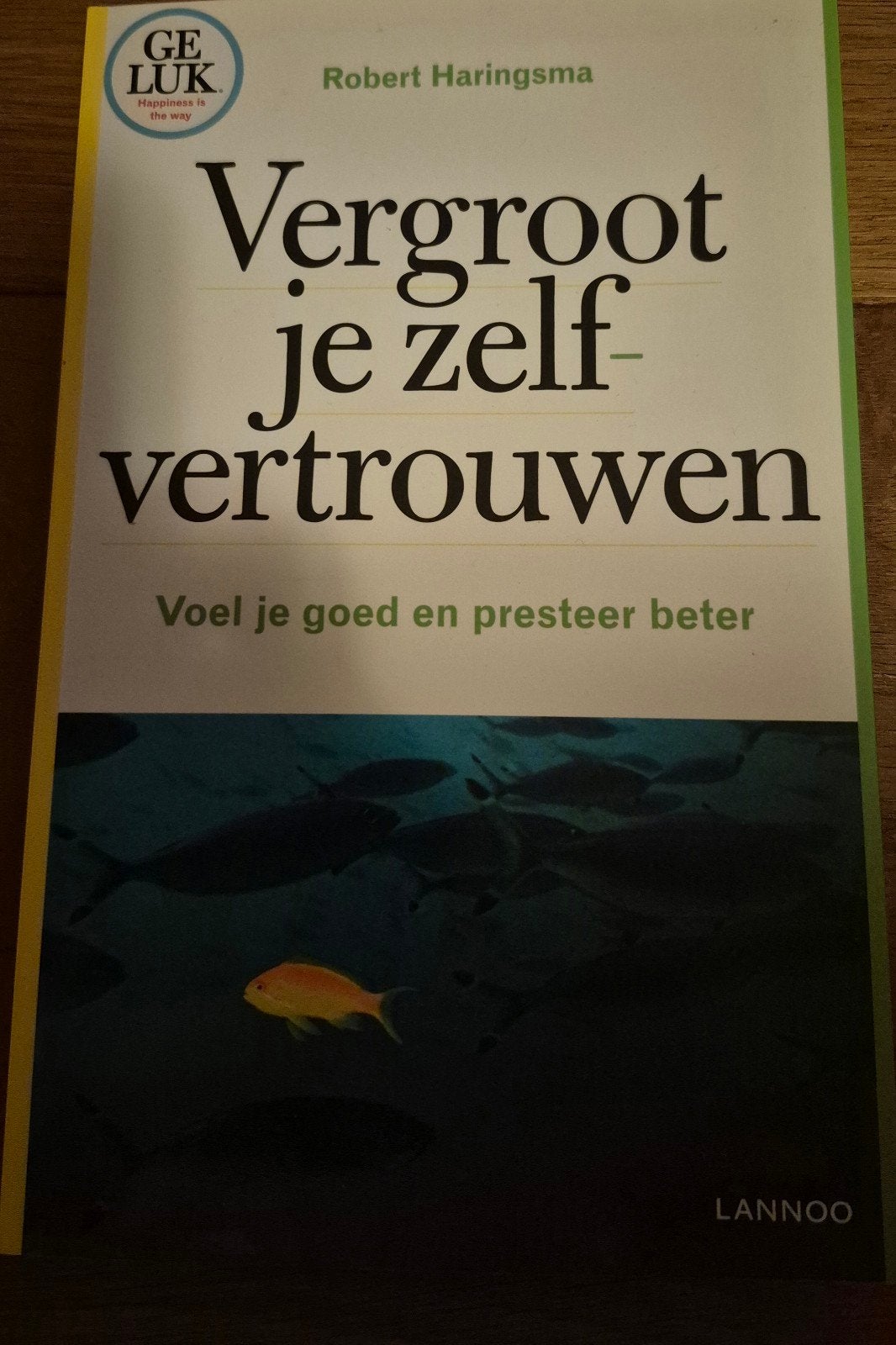 Robert Haringsma - Vergroot je zelfvertrouwen, Ophalen of Verzenden, Zo goed als nieuw, Robert Haringsma