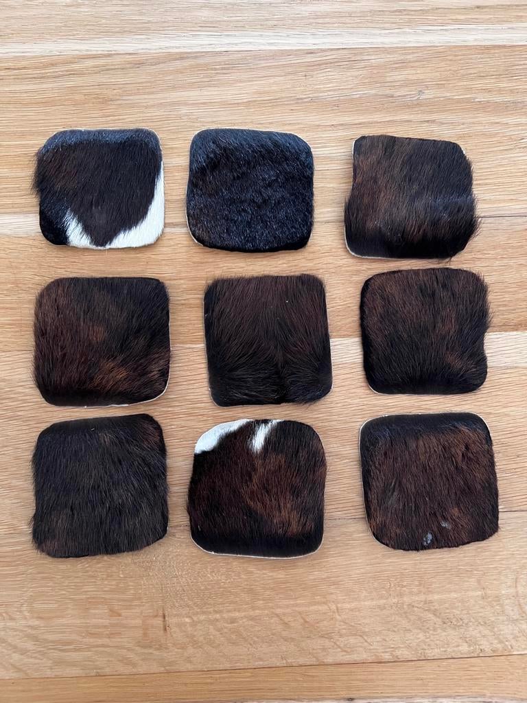 9 onderzetters dierenhuid, Huis en Inrichting, Woonaccessoires | Onderzetters, Ophalen of Verzenden, Zo goed als nieuw, Glas of Kopje