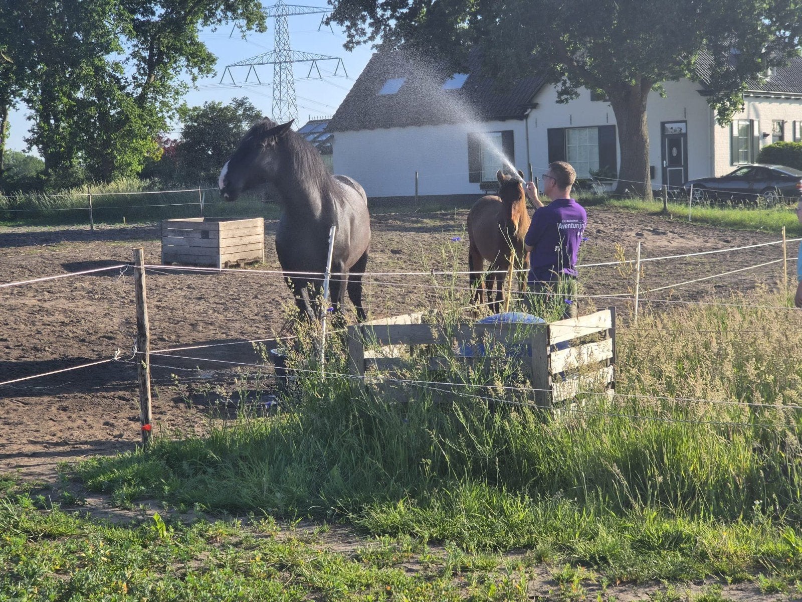 Plek vrij voor lief sociaal paard (voorkeur voor een ruin)