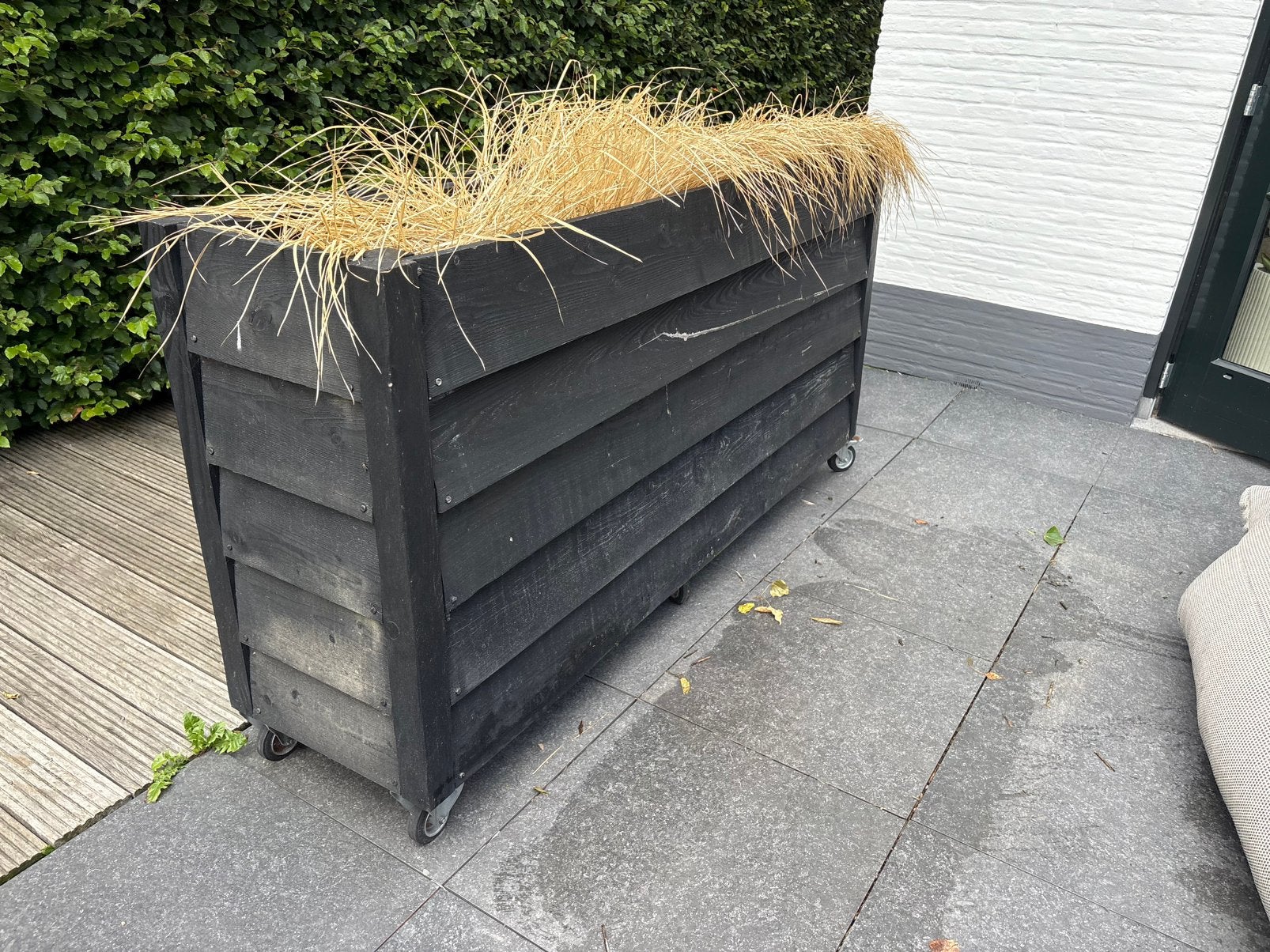 5 stuks grote verrijdbare bloembakken / plantenbakken, Ophalen, 100 cm of meer, Zo goed als nieuw, 60 cm of meer
