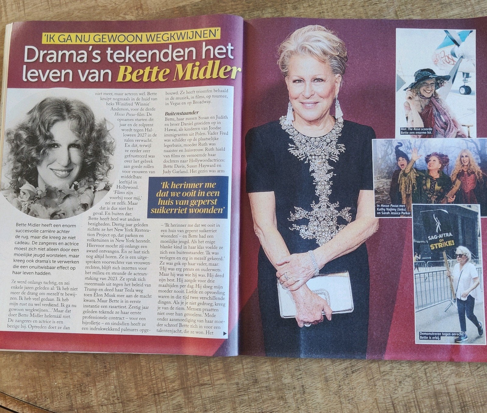 Bette Midler Artikel Knipsel - 4 blz -, Ophalen of Verzenden, 1980 tot heden, Nederland, Knipsel(s)