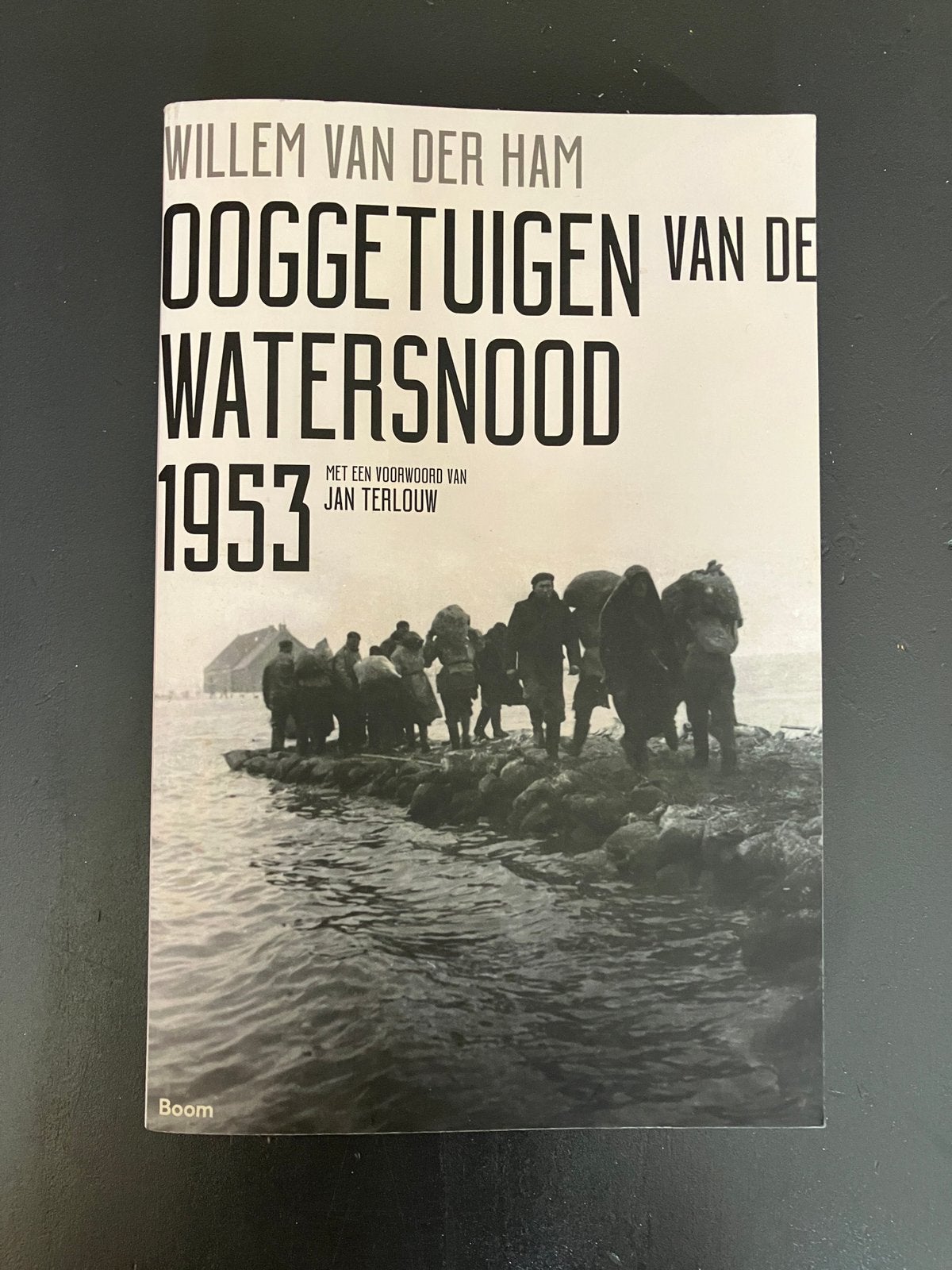 Ooggetuigen van de watersnood 1953 - Willem van der Ham, Ophalen of Verzenden, Zo goed als nieuw