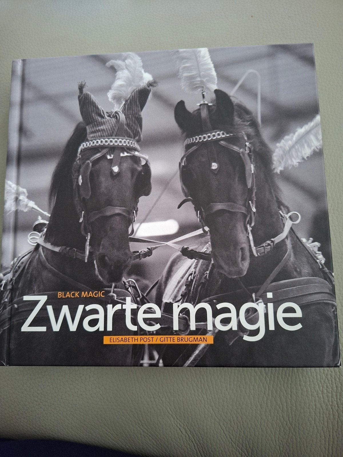 Zwarte Magie - Boek over Friese paarden (NL/EN), Ophalen of Verzenden, Zo goed als nieuw, Paarden of Pony's, Elisabeth Post / Gitte Brugman