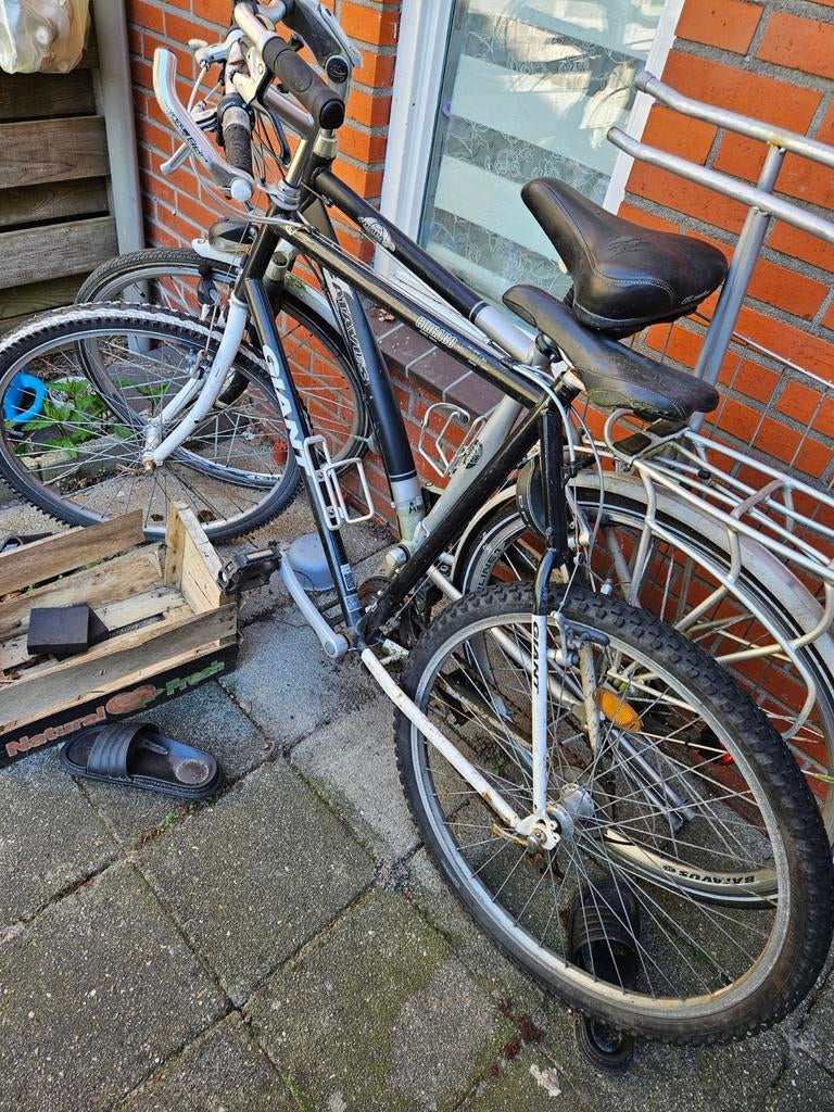 Batavus Compas & Giant Chicago Sport Series fietsen, Gebruikt, ., ., Geen vering