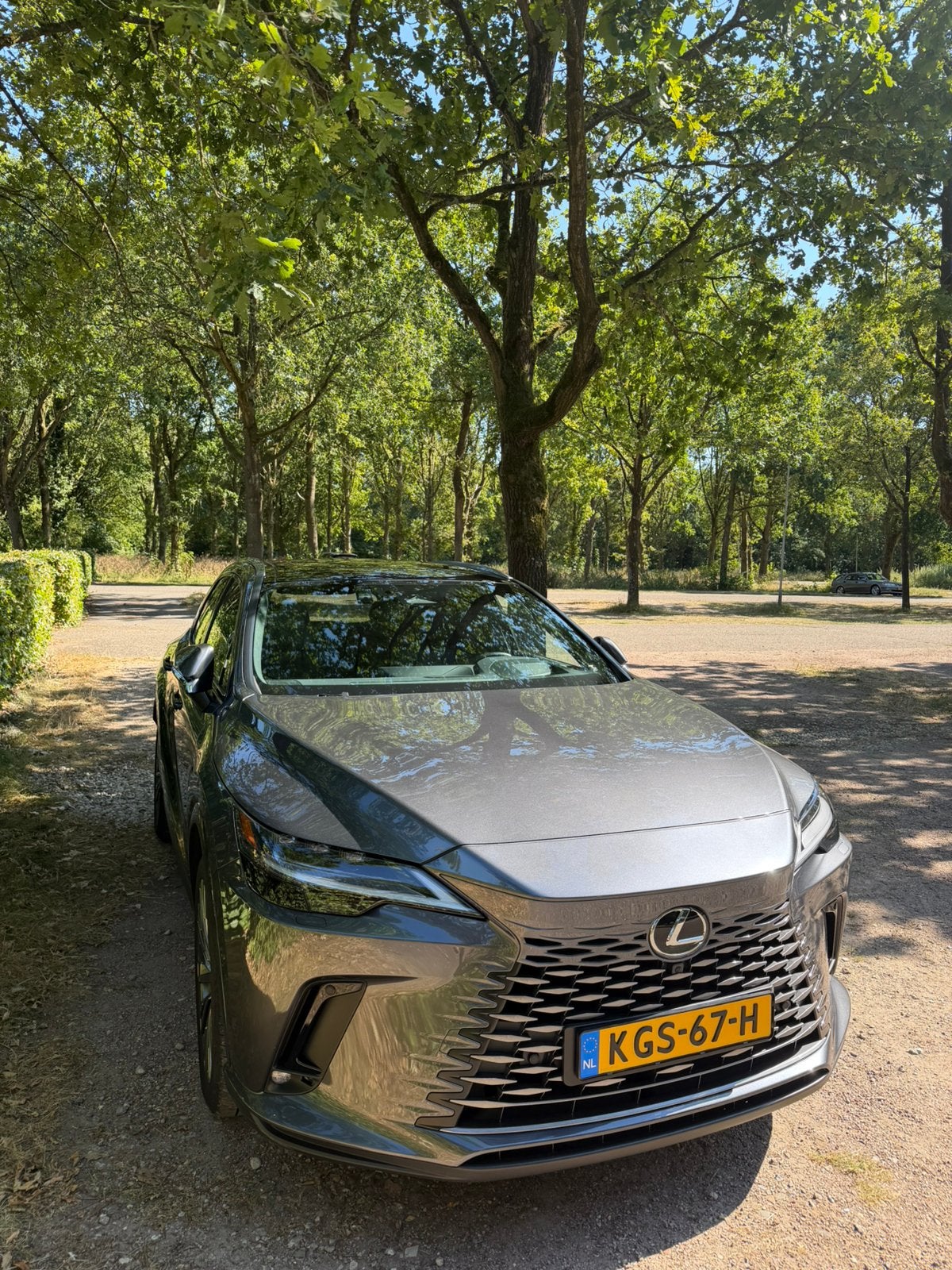 Lexus RX(-H) 450h+ Plug-in Hybrid President Line, Automaat, Parkeerassistent, 4 cilinders, Plug-in hybride