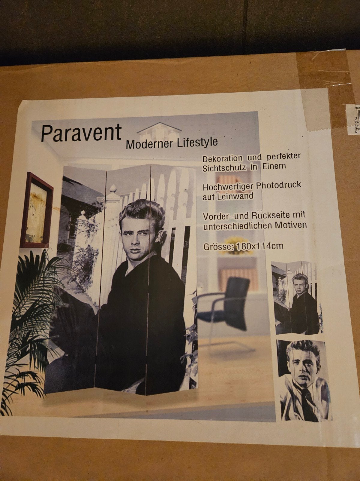 James Dean scherm room diver, Ophalen of Verzenden, Nieuw, Poster, Artwork of Schilderij