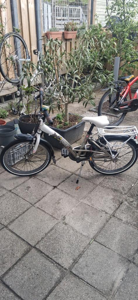 Loekie fiets, Fietsen en Brommers, Ophalen, Gebruikt, 20 inch