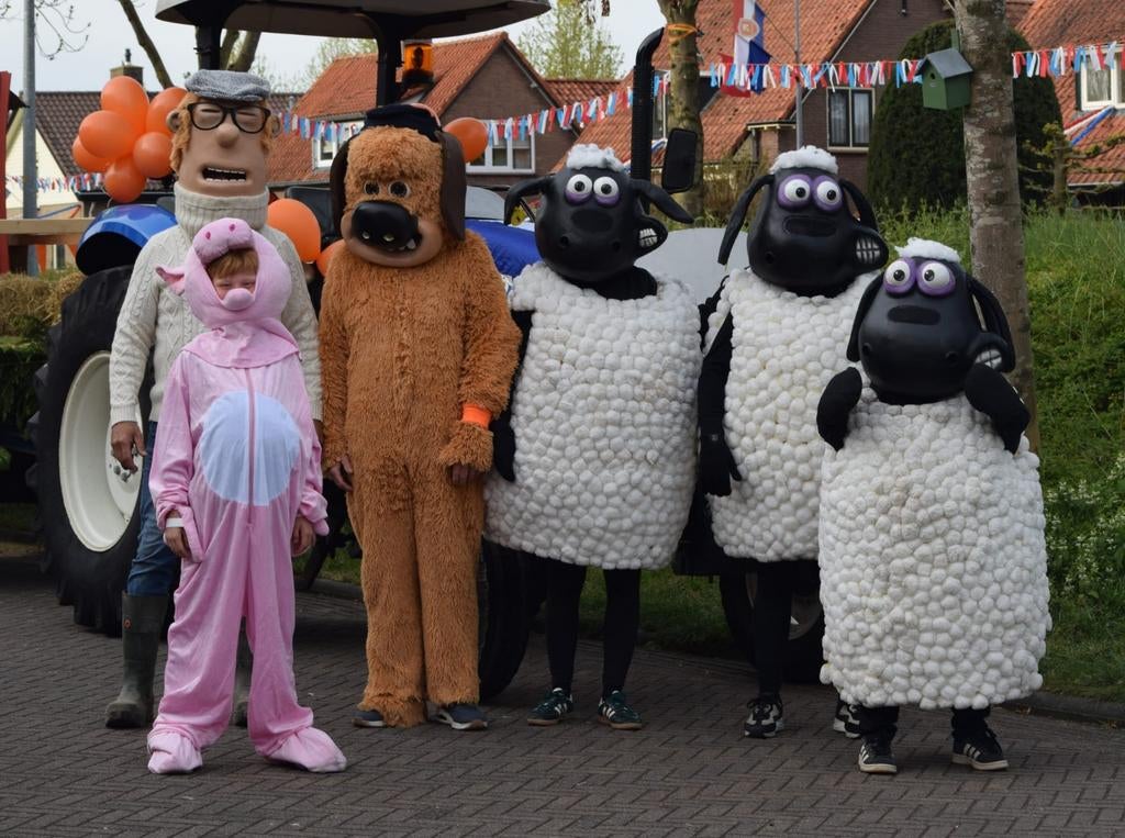 Shaun the sheep pakken, Ophalen, Zo goed als nieuw, Carnaval