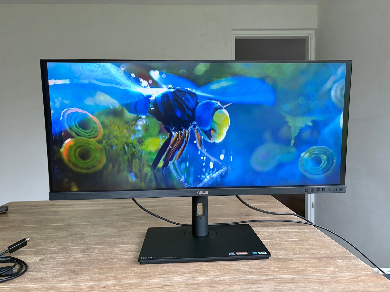 ASUS ProArt 34” Widescreen, Computers en Software, Monitoren, Zo goed als nieuw, 101 t/m 150 Hz, Ultrawide, In hoogte verstelbaar