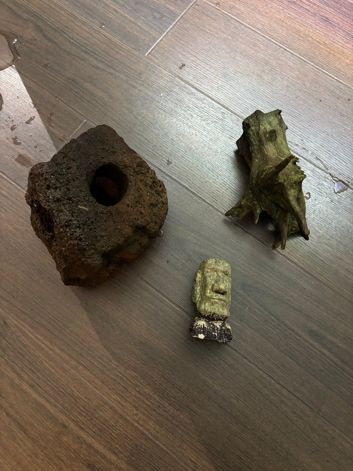Aquarium stenen en hout, Ophalen, Plant(en), Steen of Hout