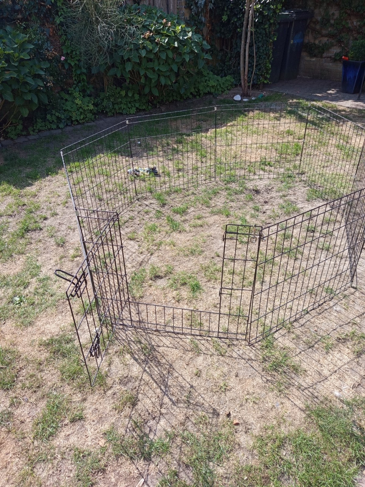 hondenren dierenren, Ophalen, Zo goed als nieuw, 75 tot 110 cm
