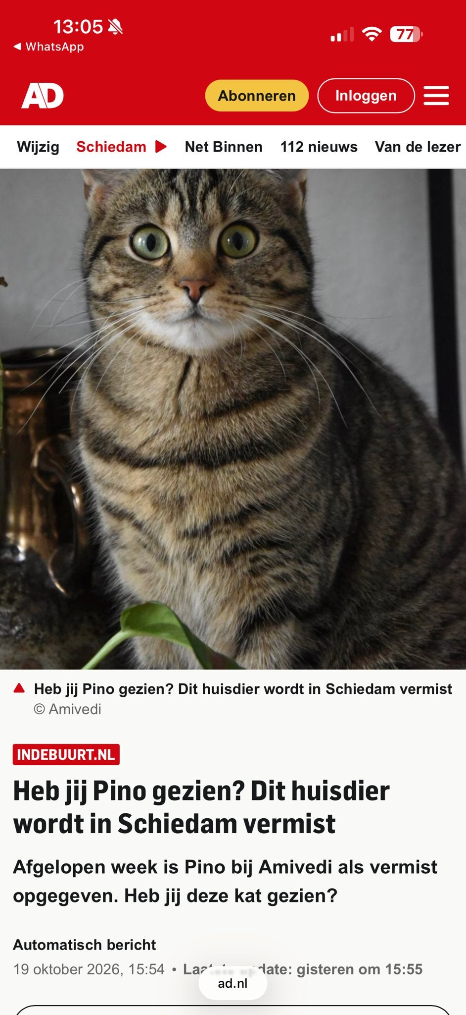 Vermiste poes