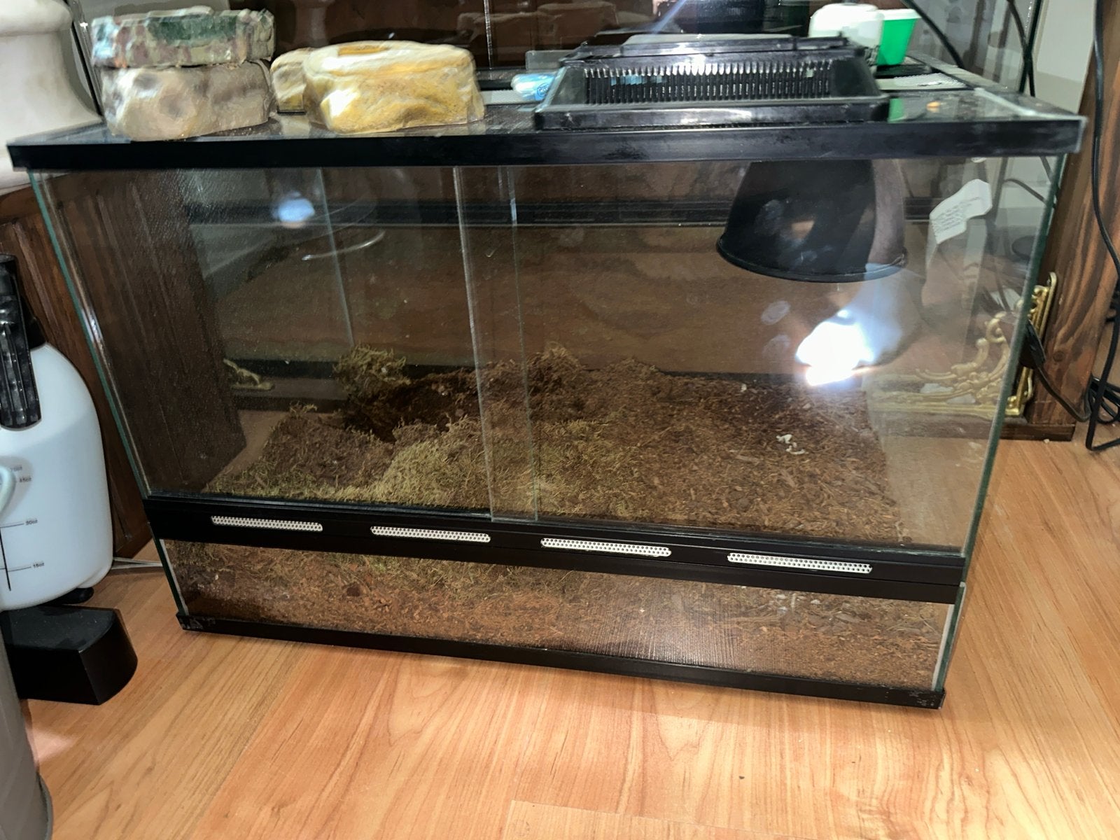 Terrarium reptile 60x30x30, Ophalen, Zo goed als nieuw, Terrarium of Paludarium