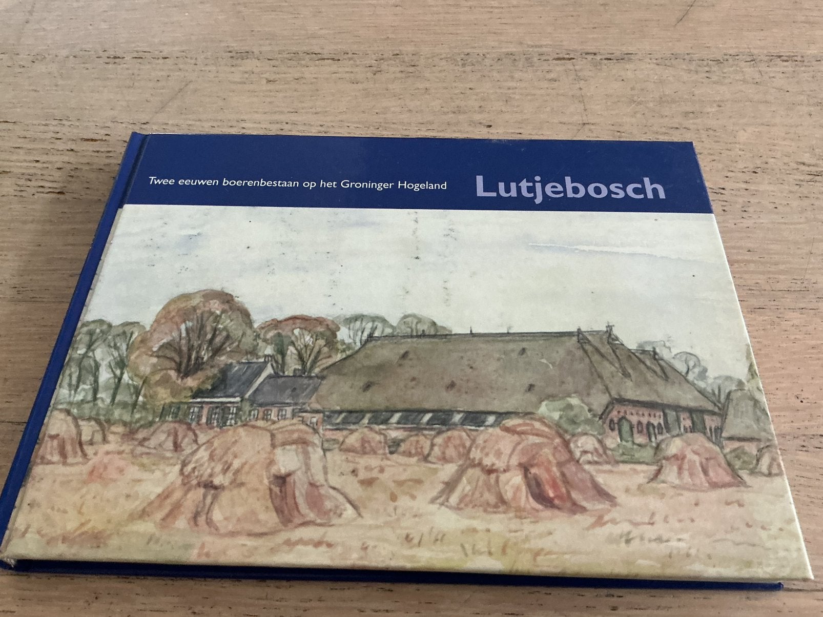 Twee eeuwen boerenbestaan op  Groninger Hogeland.Lutjebosch, Boeken, Ophalen of Verzenden, Zo goed als nieuw