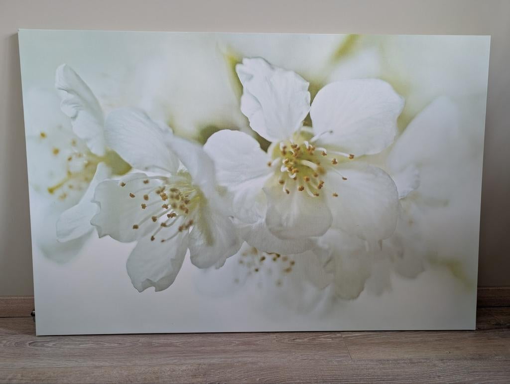 Groot canvas schilderij, Huis en Inrichting, Woonaccessoires | Schilderijen, Tekeningen en Foto's, Ophalen, Zo goed als nieuw
