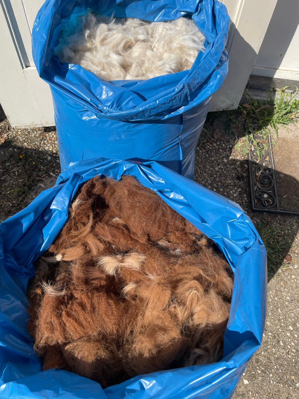 Alpaca wol, de laatste bruine vachten, Ophalen of Verzenden, Nieuw, Breien of Haken, Overige typen