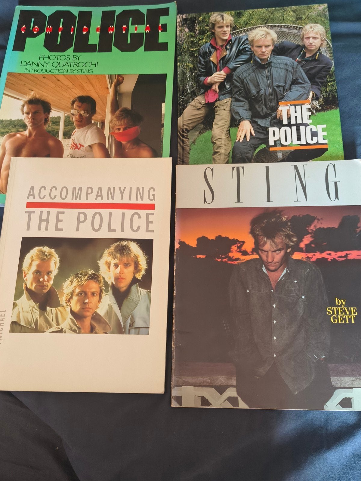 Boeken The Police & Sting - Muziekbiografieën, Boeken, Ophalen of Verzenden, Gelezen, Artiest, Danny Quatrochi, Steve Gett