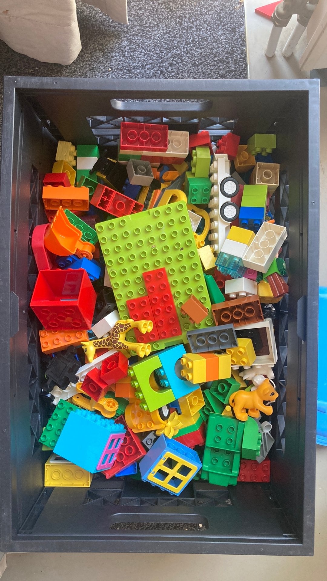 Grote bak met duplo + bouwplaat, Ophalen, Zo goed als nieuw