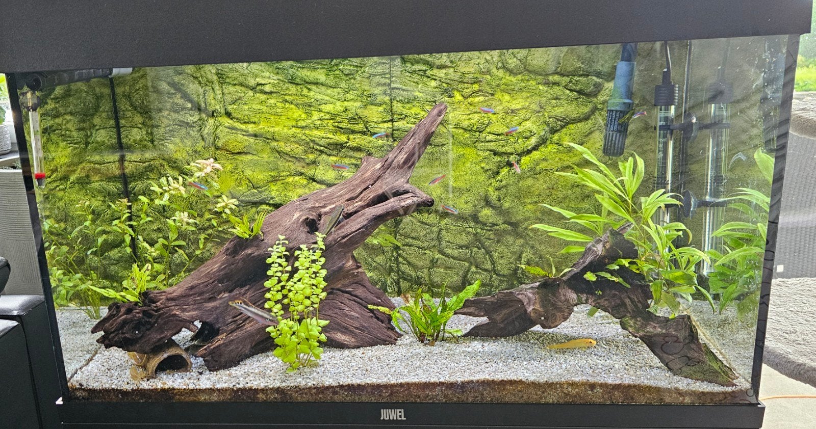 juwel rio 125, Ophalen, Gebruikt, Gevuld zoetwateraquarium, Juwel