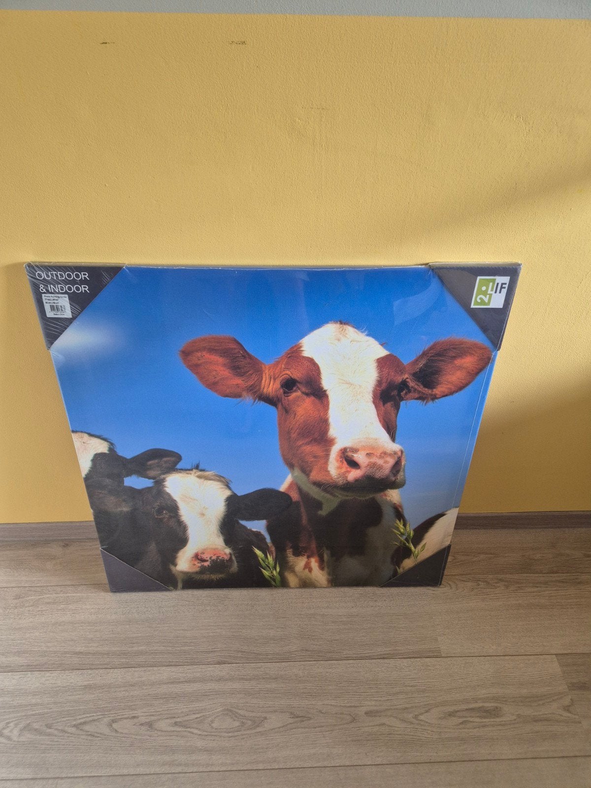 Nieuw Foto Schilderij Koeien 80x80cm Outdoor & Indoor, Huis en Inrichting, Woonaccessoires | Schilderijen, Tekeningen en Foto's