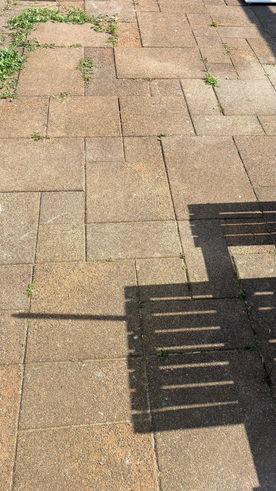 Gratis af te halen: Gebruikte terrastegels voor tuin, Ophalen, Gebruikt, 10 m² of meer, Beton