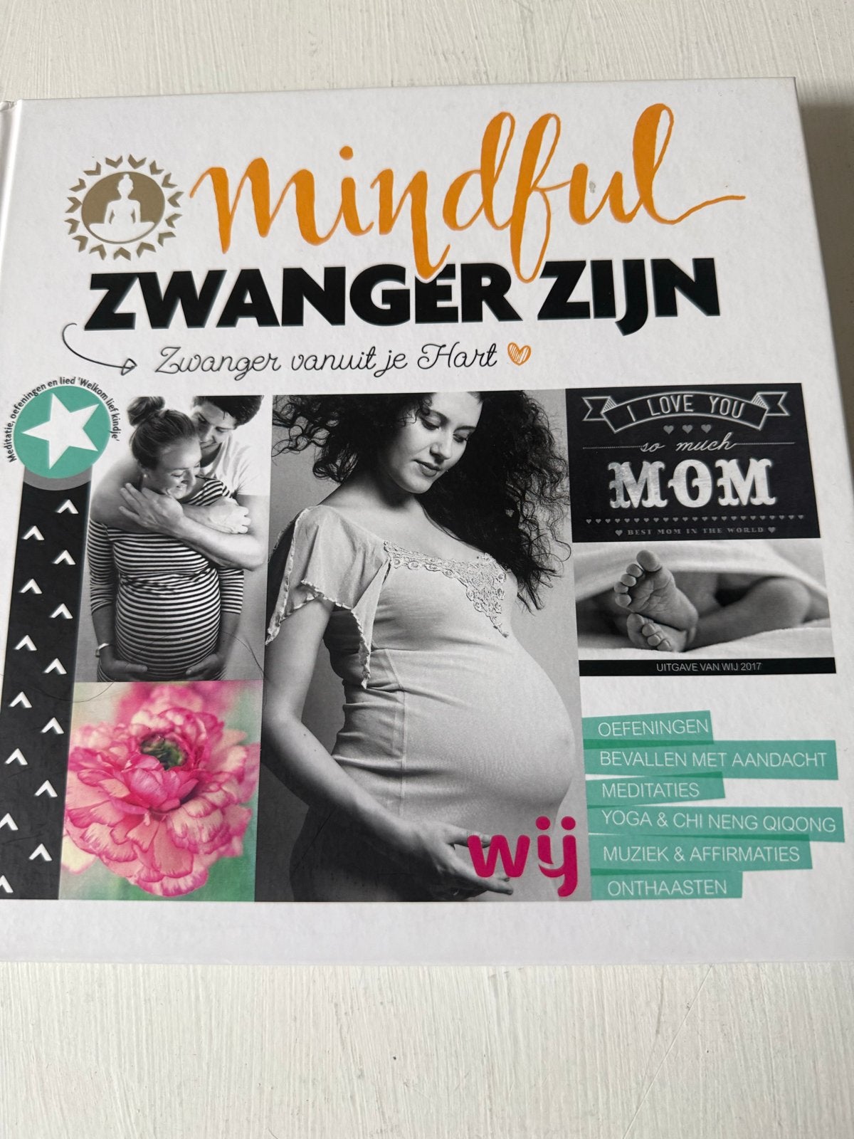 Mindful Zwanger Zijn: Zwanger vanuit je Hart, Ophalen, Zo goed als nieuw, Zwangerschap en Bevalling