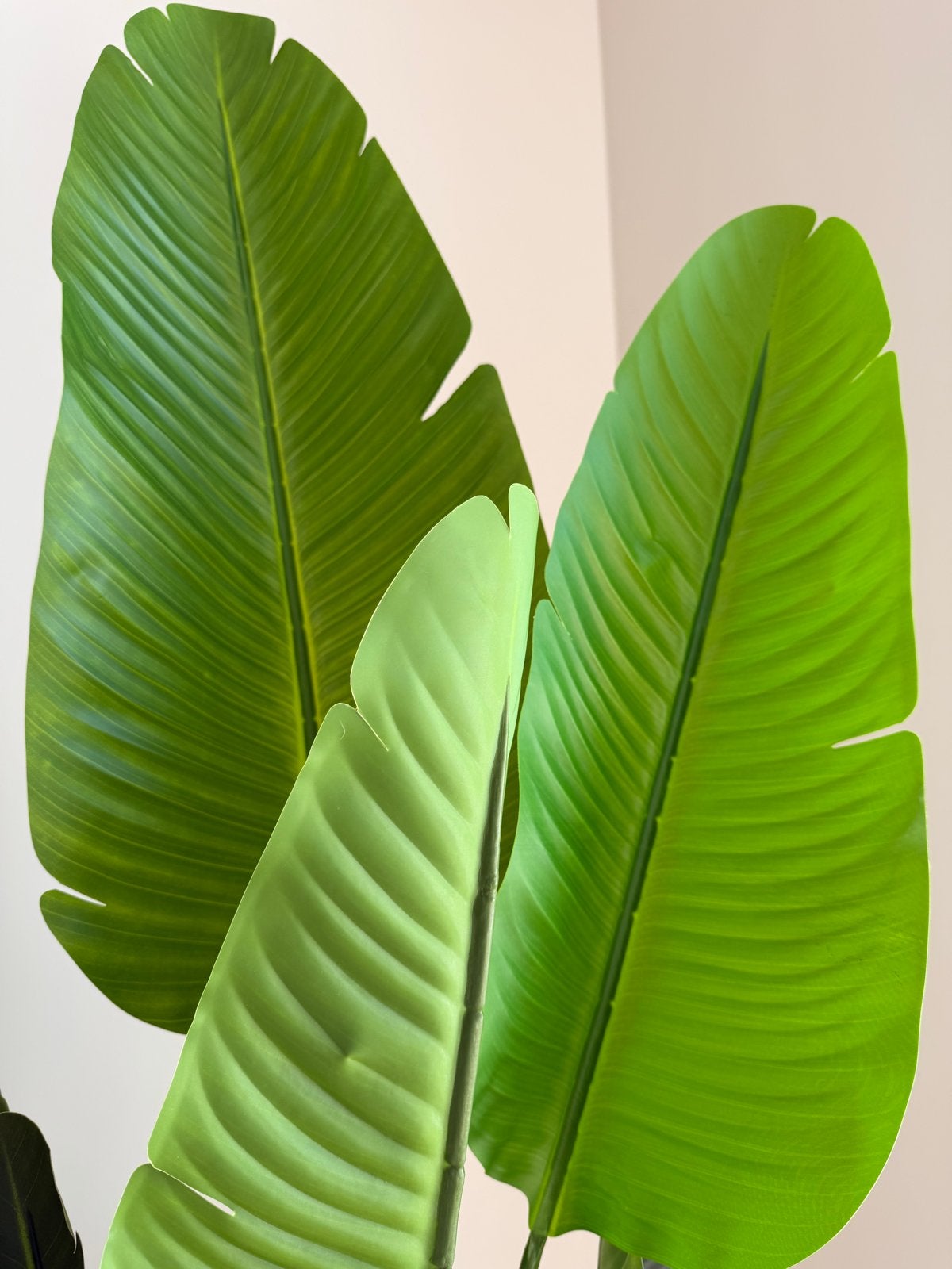 Strelitzia Nicolai kunstplant 1,60m - Nieuw, Binnen, Groen, Kunstplant, Nieuw