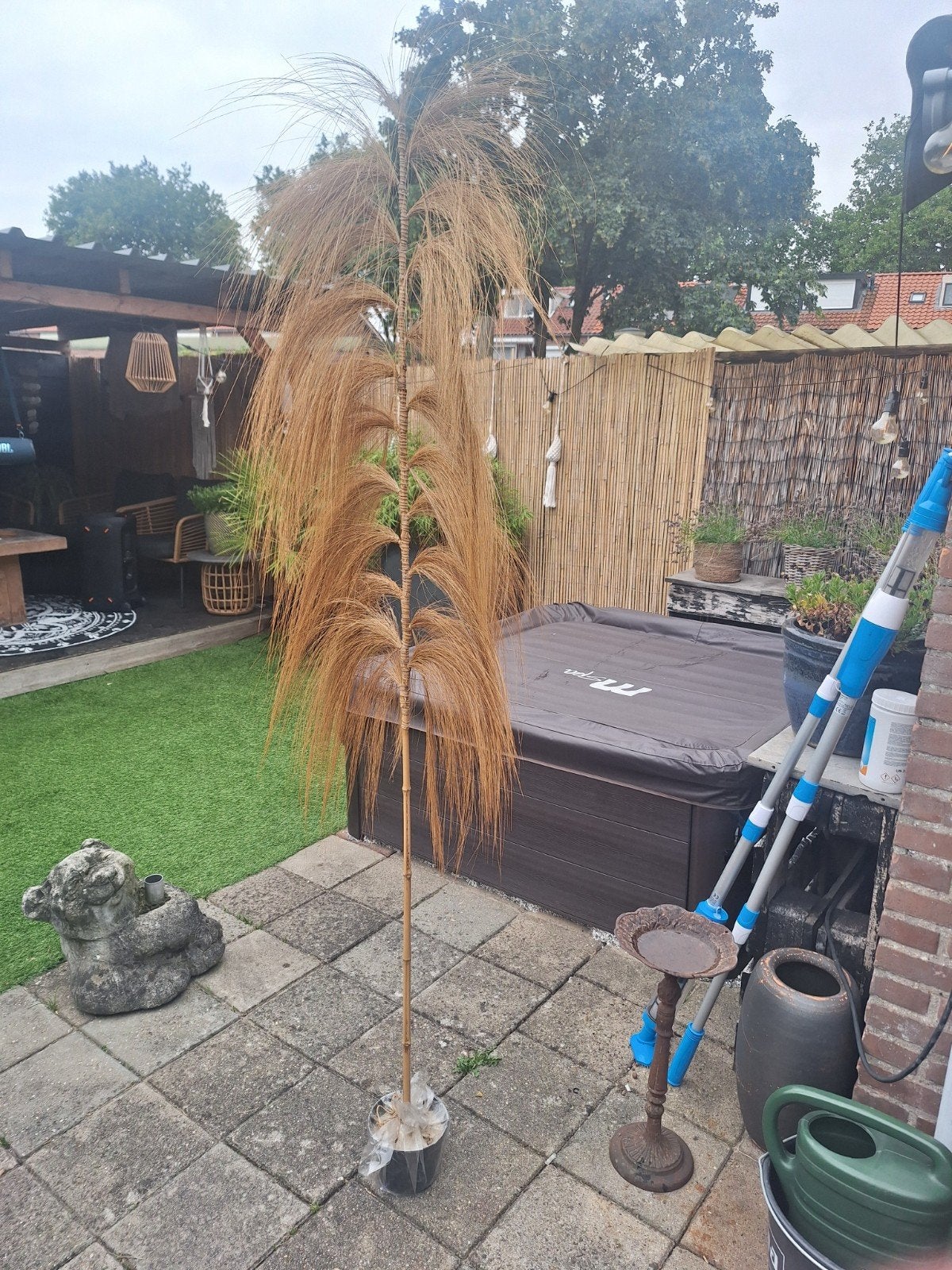 Leuke decoratie palmboom voor binnen of buiten, Ophalen