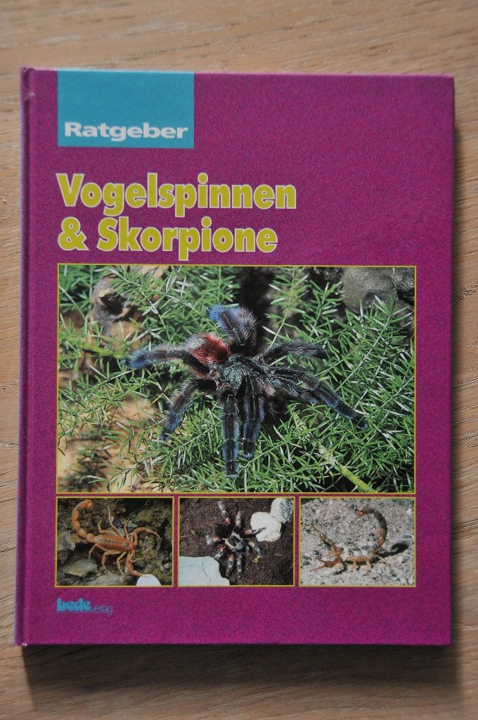 Vogelspinnen en Schorpioenen Vogelspinnen & Skorpione, Ophalen of Verzenden, Nieuw, Overige diersoorten