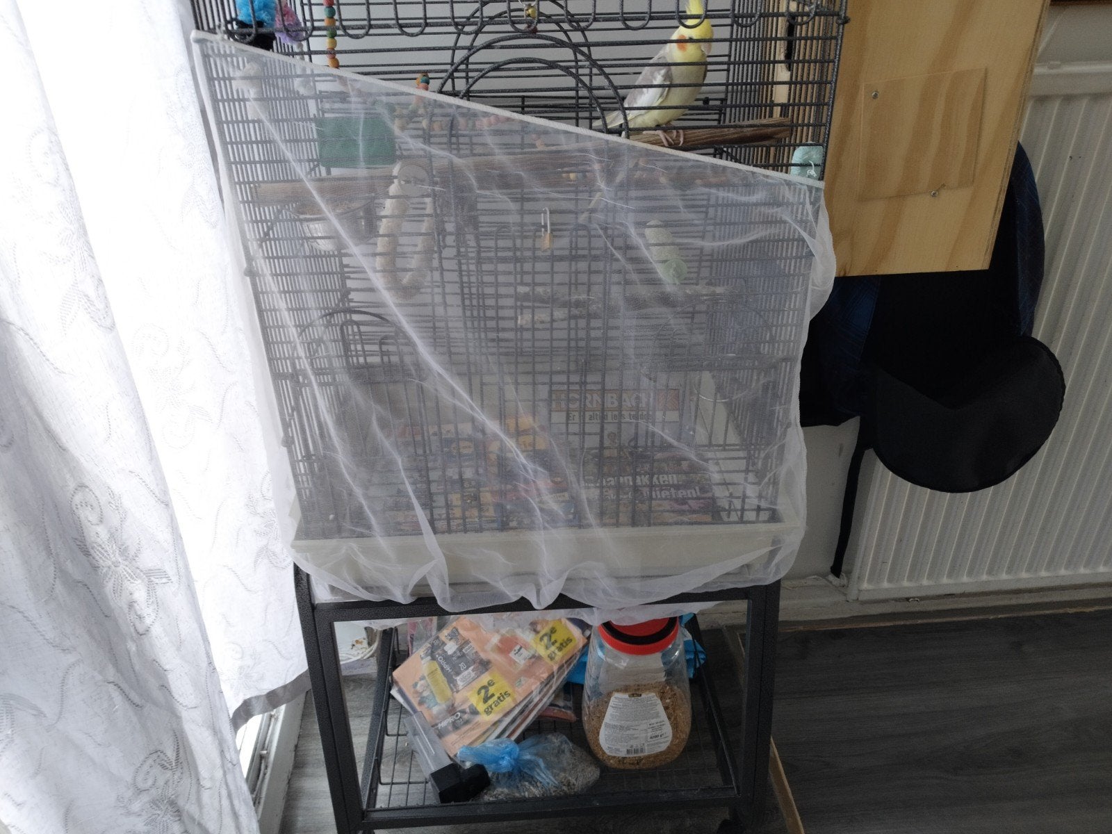 Valkparkiet met 5 eiren, Dieren en Toebehoren, Kooi, Minder dan 75 cm, Zo goed als nieuw, Ophalen
