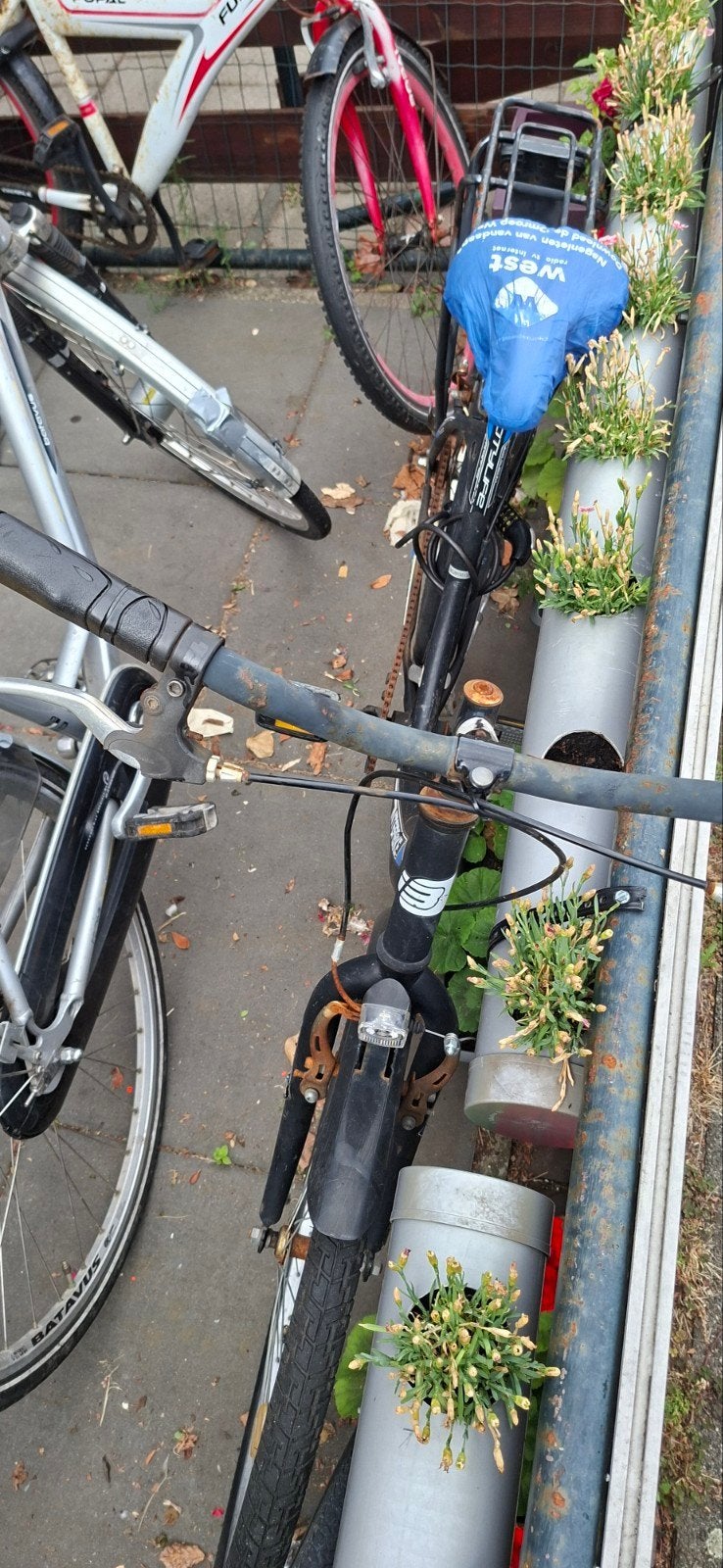 Gebruikte Fiets - Ideaal voor dagelijks gebruik, Fietsen en Brommers, Fietsen | Dames | Damesfietsen, Ophalen, Gebruikt, Overige merken