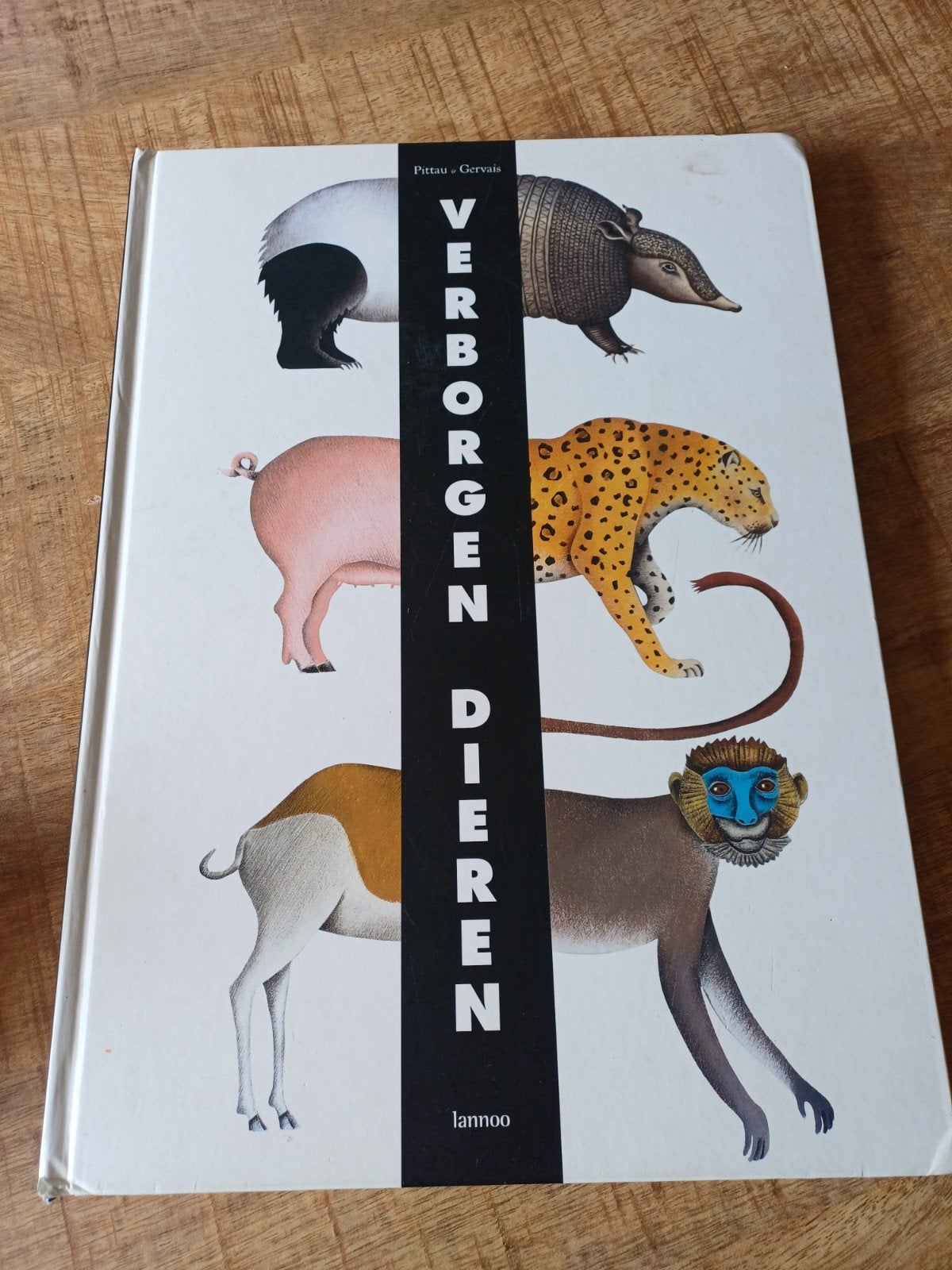 Verborgen Dieren, Uitklapboek met dierenhuiden en silhouette, Boeken, Ophalen of Verzenden, Gelezen, Pittau-Gervais, Uitklap-, Voel- of Ontdekboek