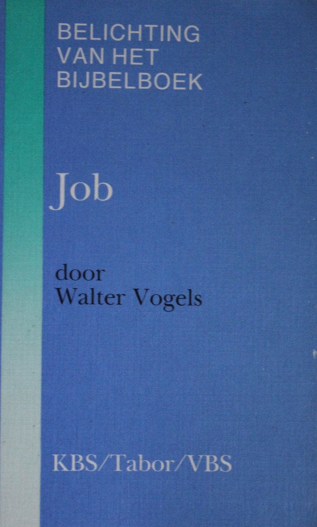 Belichting van het bijbelboek Job, Christendom | Katholiek, Ophalen of Verzenden, Walter Vogels, Zo goed als nieuw