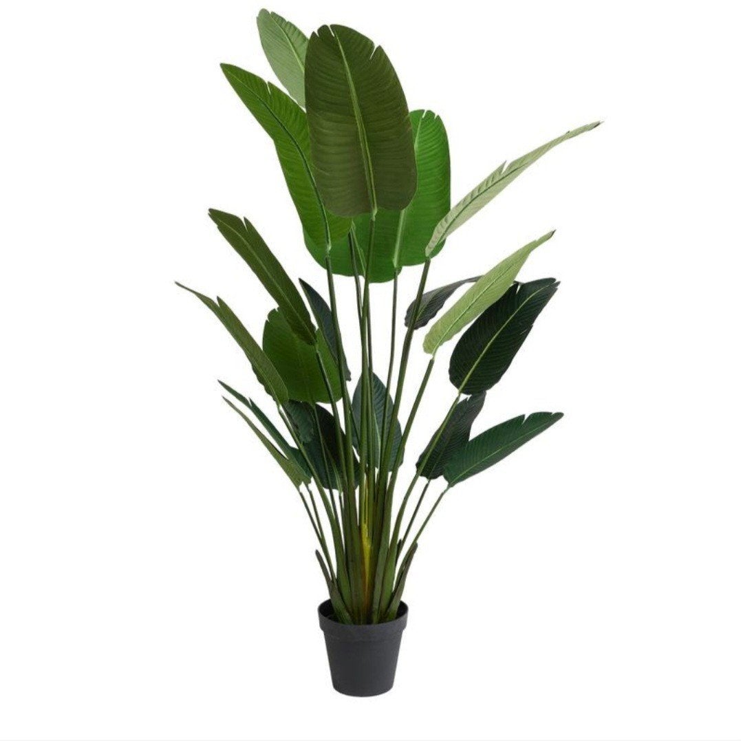 Strelitzia XXL Kunstplant - Tropische sfeer, 180 cm, Binnen, Groen, Kunstplant, Nieuw