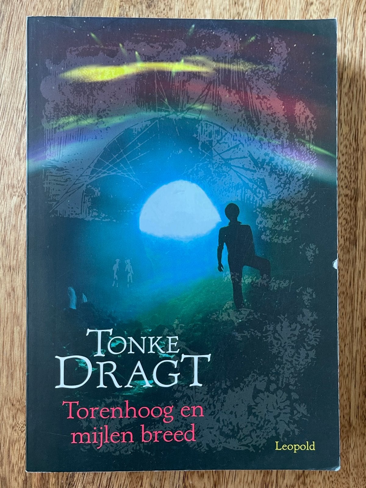 Torenhoog en mijlen breed - Tonke Dragt (dertiende druk), Ophalen of Verzenden, Zo goed als nieuw, Tonke Dragt