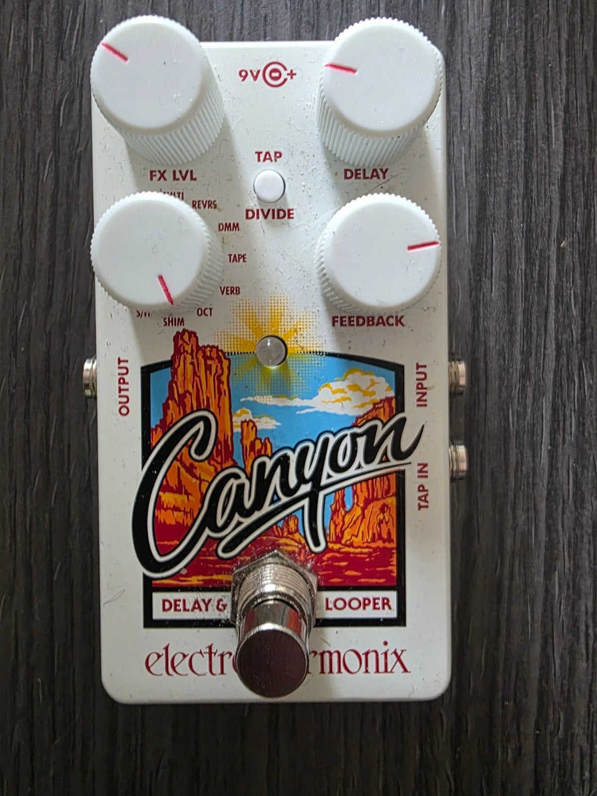 EHX Canyon Delay & Looper, Ophalen of Verzenden, Zo goed als nieuw, Delay of Echo